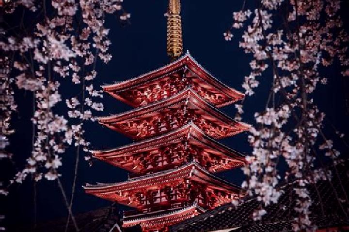 Mia, 35 — Escort in Kosuge, Japan