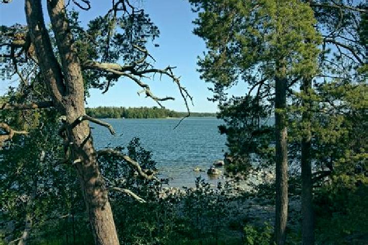 Mia, 36 — Escort in Kukola, Finland