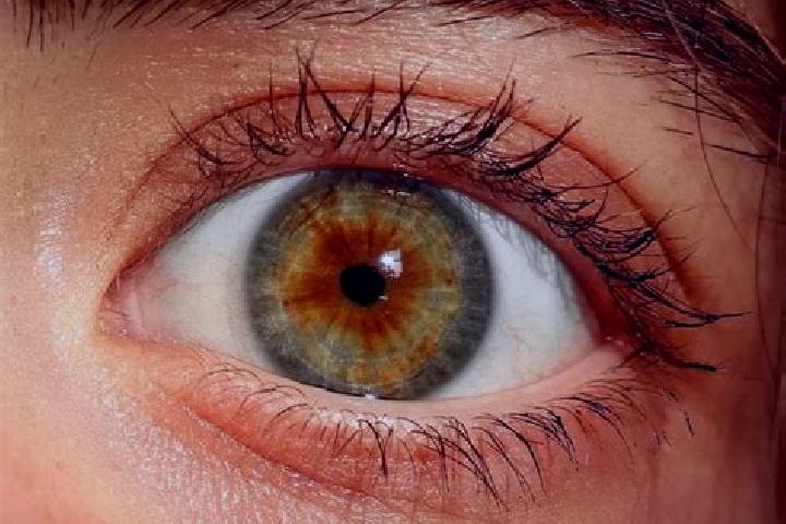 Mia, 37, a red hazel-eyed european companion based in Neukalen. Offering OWO, Party Girl. Available for incall and outcall, day and evening dates.