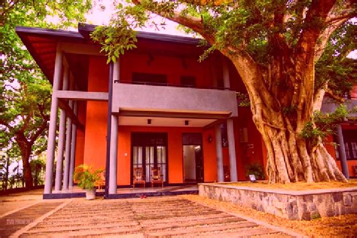 Mia, 37 — Escort in Kataragama, Sri Lanka