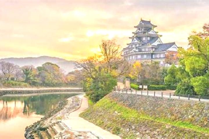 Mia, 37 — Escort in Satosho, Japan
