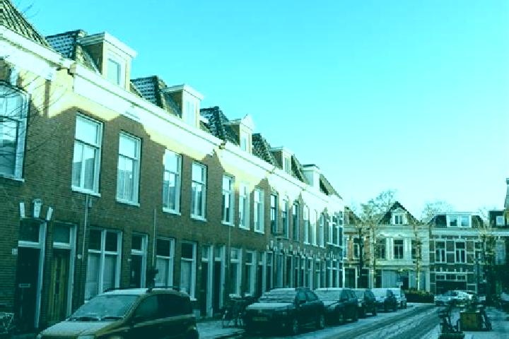 Mia, 39 — Escort in Korrewegwijk, Netherlands