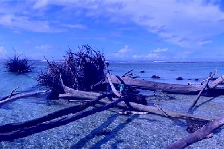 Mia, 39 — Escort in Mataniko, Solomon Islands