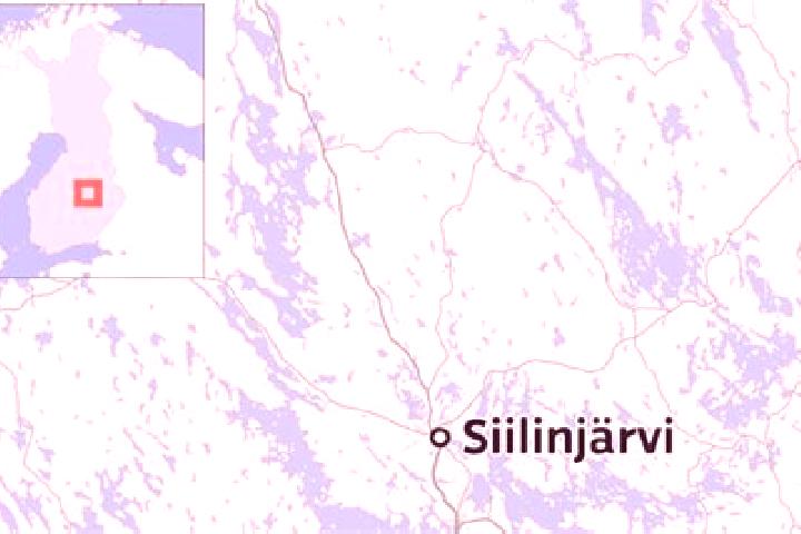 Mia, 39 — Escort in Siilinjaervi, Finland