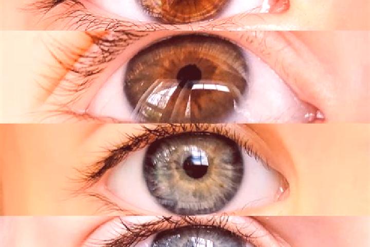 Mila, 20, a chestnut dark-eyed mixed companion based in Islampur. Offering Travel Companion, Striptease, Duos. Available for incall and outcall, day and even...