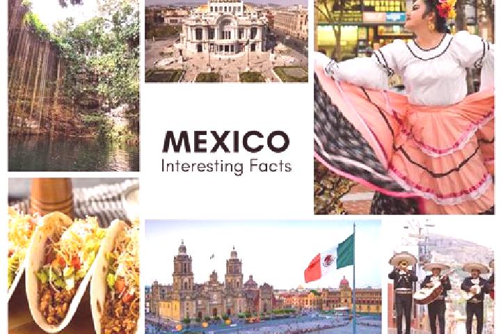 Mila, 20 — Escort in Chana, Mexico
