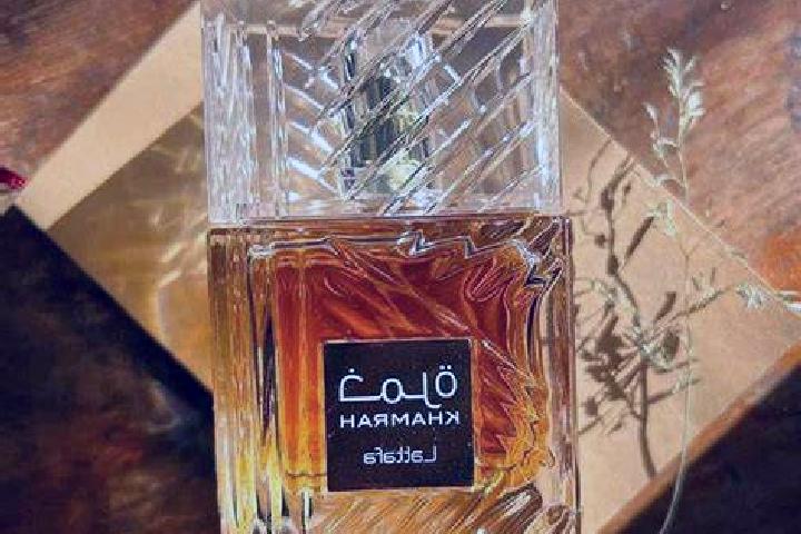 Mila, 20 — Escort in Karmah, Palestine