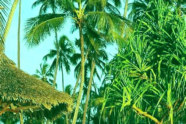 Mila, 21 — Escort in Kiratu, Tanzania
