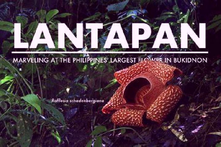 Mila, 22 — Escort in Lantapan, Philippines