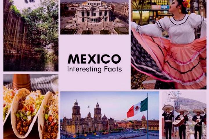 Mila, 22 — Escort in Tecomatan, Mexico