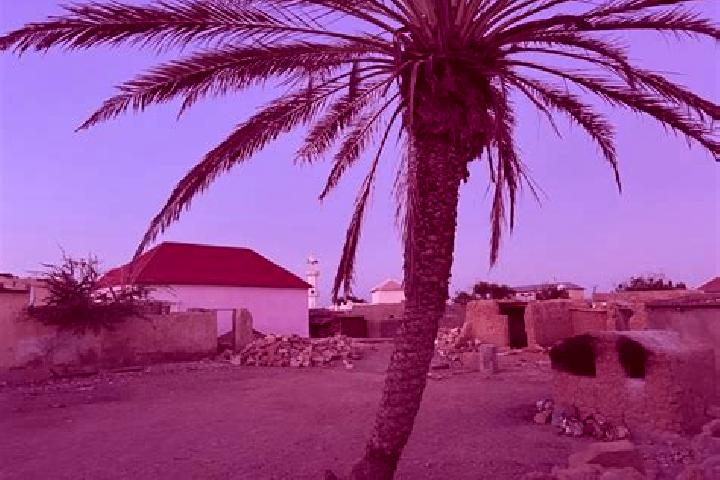 Mila, 23 — Escort in Bargaal, Somalia