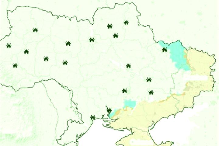 Mila, 23 — Escort in Chervonoivanivka, Ukraine