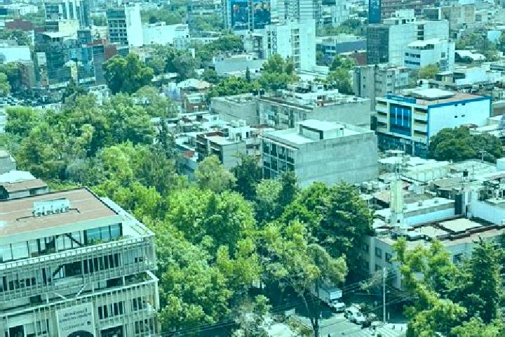 Mila, 23 — Escort in Colonia Ejidal Rafael Merino, Mexico