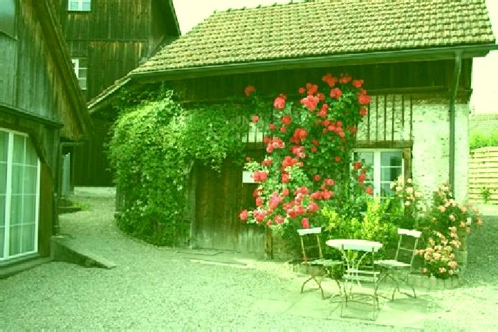 Mila, 23 — Escort in Knonau, Switzerland