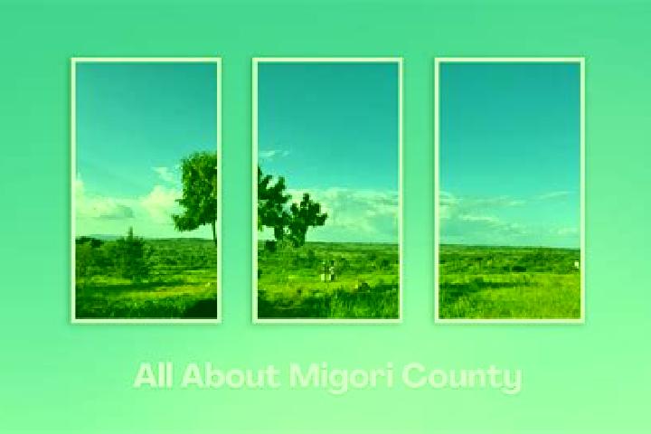 Mila, 23 — Escort in Migori, Kenya