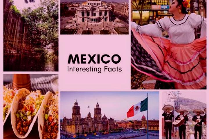 Mila, 23 — Escort in Tzahuinco, Mexico