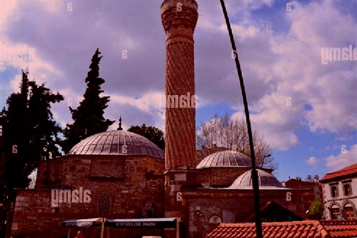 Mila, 23 — Escort in Usak, Turkey