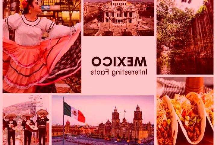 Mila, 24 — Escort in Cachivi, Mexico