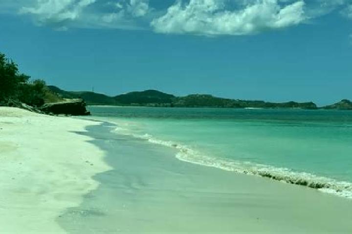 Mila, 24 — Escort in Codrington, Antigua and Barbuda