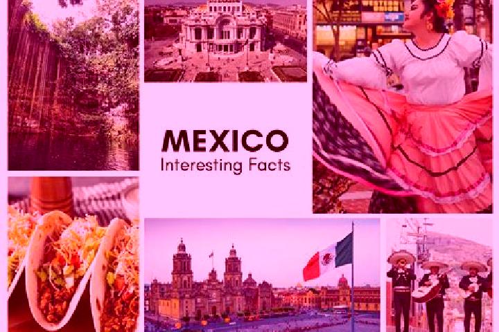 Mila, 24 — Escort in La Calaverna, Mexico