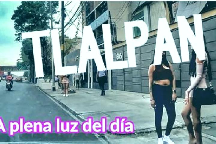 Mila, 24 — Escort in Romulo Calzada (La Herradura), Mexico