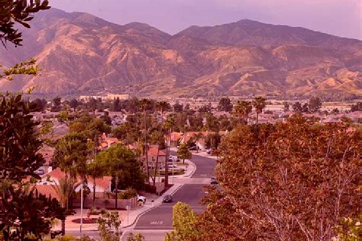 Mila, 24 — Escort in San Jacinto, Mexico