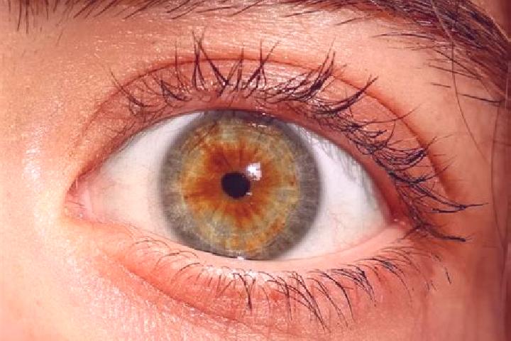 Mila, 25, a red hazel-eyed asian companion based in Rancho Queimado. Offering Deep French Kissing, Travel Companion, OWO. Available for incall and outcall, d...