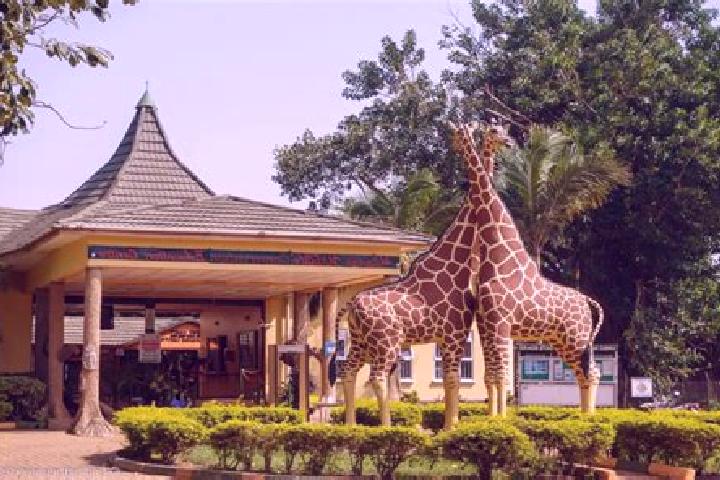 Mila, 25 — Escort in Entebbe, Uganda