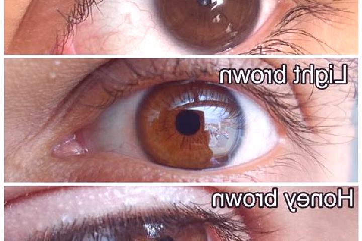 Mila, 26, a chestnut amber-eyed slavic companion based in Ragoli. Offering Dinner Date, Duos, BDSM, Prostate Massage. Available for incall and outcall, overn...