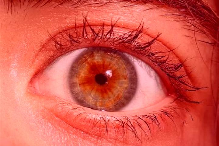 Mila, 27, a red hazel-eyed european companion based in Gaenserndorf. Offering Couples, Deep French Kissing, Girlfriend Experience, Fetish. Available for inca...