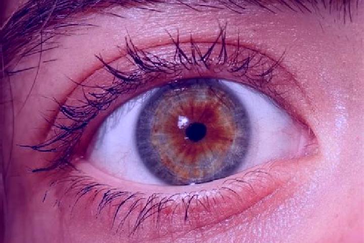 Mila, 27, a red hazel-eyed middle eastern companion based in Newbridge. Offering Fetish, Domination, Girlfriend Experience, Party Girl. Available for incall ...