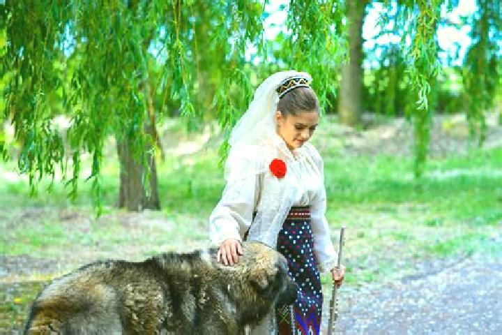 Mila, 27 — Escort in Hiliseu-Horia, Romania