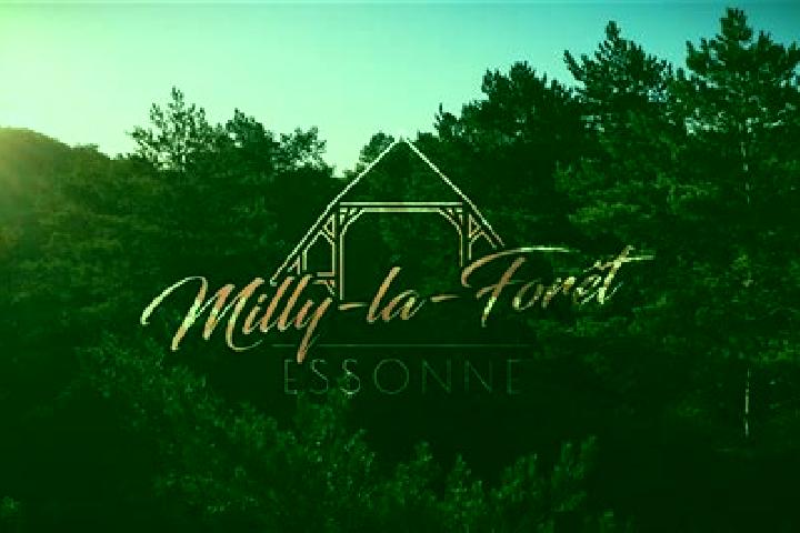 Mila, 27 — Escort in Milly-la-Foret, France