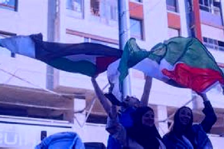 Mila, 28 — Escort in An Nusayrat, Palestine