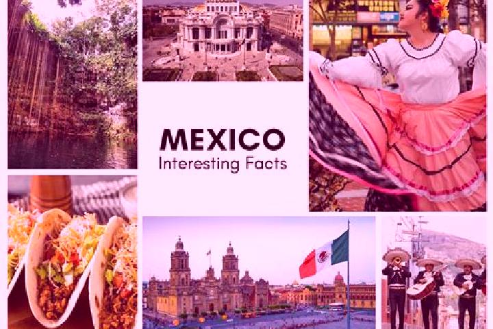 Mila, 28 — Escort in Ocotequila, Mexico