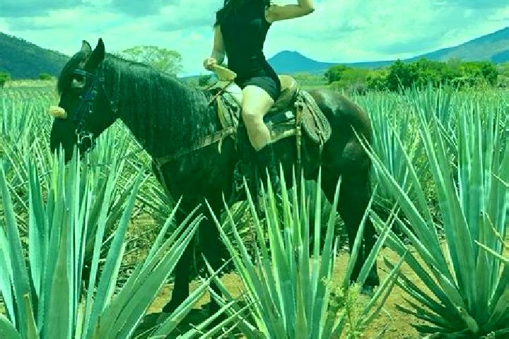 Mila, 28 — Escort in San Julian, Mexico