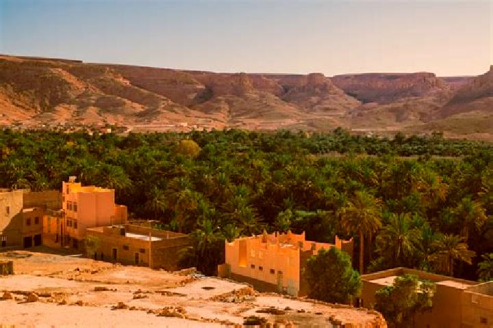 Mila, 28 — Escort in Zagora, Morocco