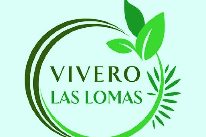 Mila, 29 — Escort in Fronton Vivero, Mexico