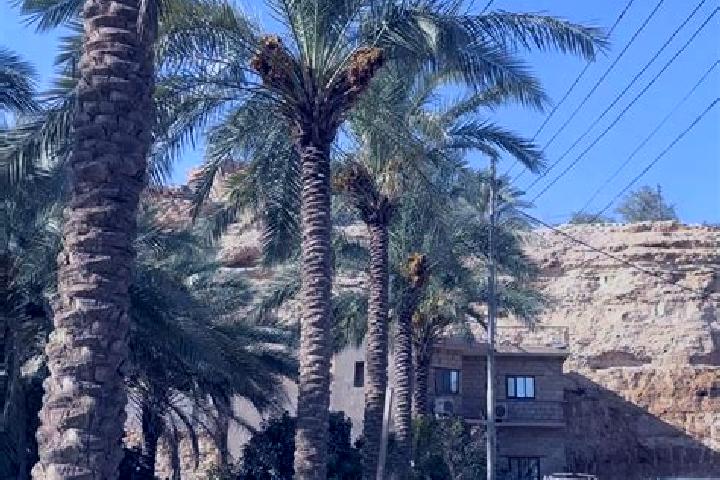 Mila, 29 — Escort in Rawah, Iraq