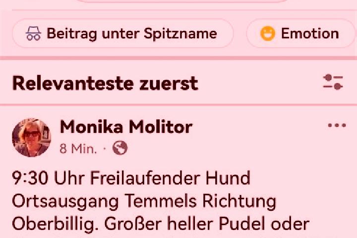 Mila, 29 — Escort in Temmels, Germany