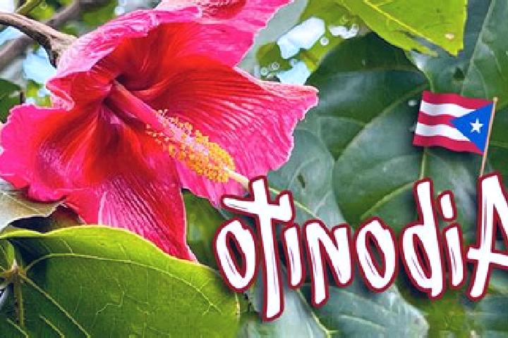 Mila, 31 — Escort in Aibonito, Puerto Rico