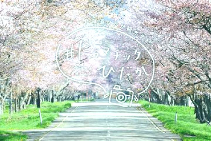 Mila, 31 — Escort in Hidaka, Japan