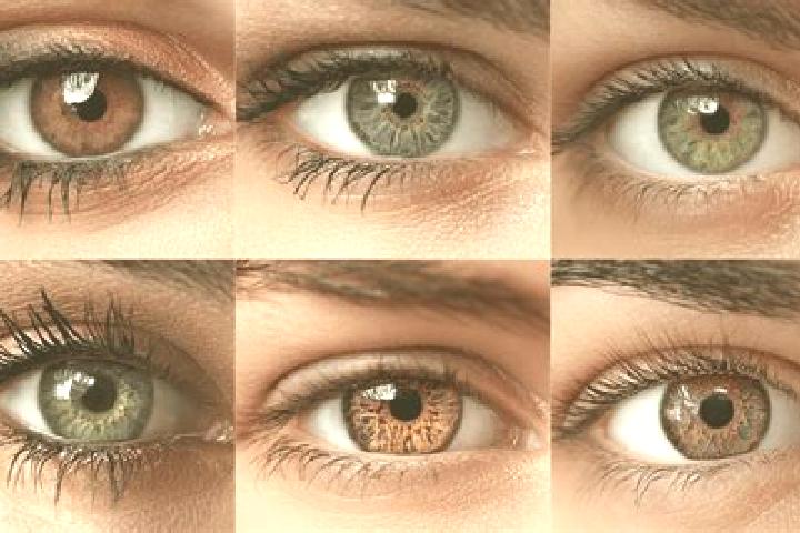 Mila, 32, a black hazel-eyed european companion based in Valdemora. Offering A-Level, Travel Companion, Roleplay. Available for incall and outcall, overnight...