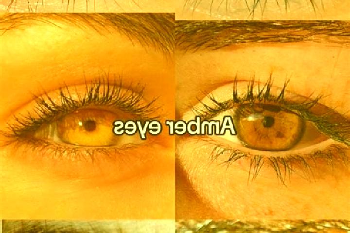 Mila, 32, a chestnut amber-eyed caucasian companion based in Lint. Offering OWO, A-Level, Fetish, Party Girl. Available for incall and outcall, day and eveni...