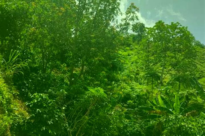 Mila, 32 — Escort in Adjuntas, Puerto Rico