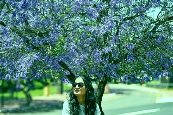 Mila, 32 — Escort in Jizan, Saudi Arabia