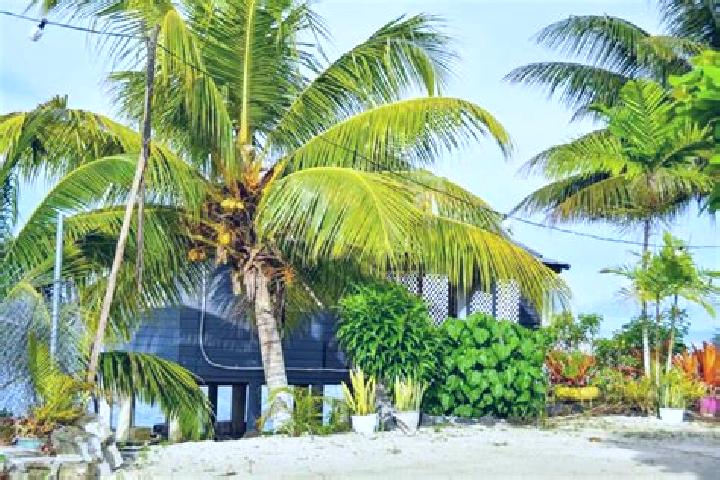 Mila, 32 — Escort in Matautu, Samoa
