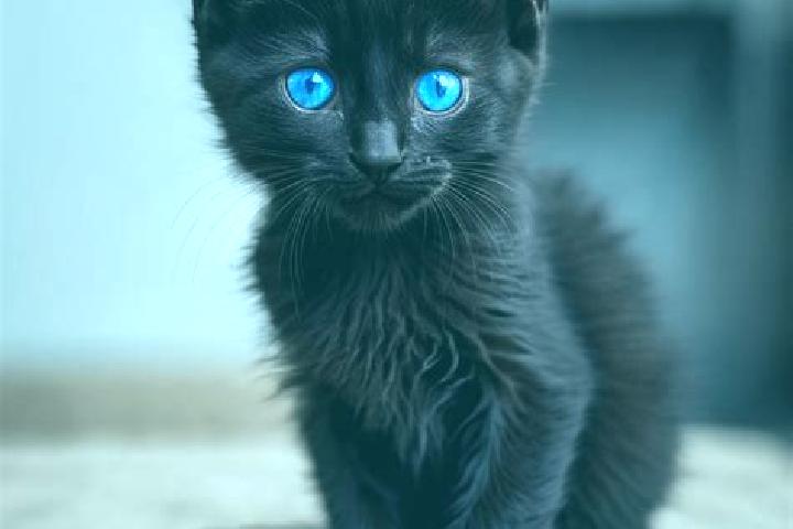 Mila, 33, a black blue-eyed mediterranean companion based in Saxton. Offering BDSM, Tantra, GFE, OWO. Available for incall and outcall, overnight bookings av...