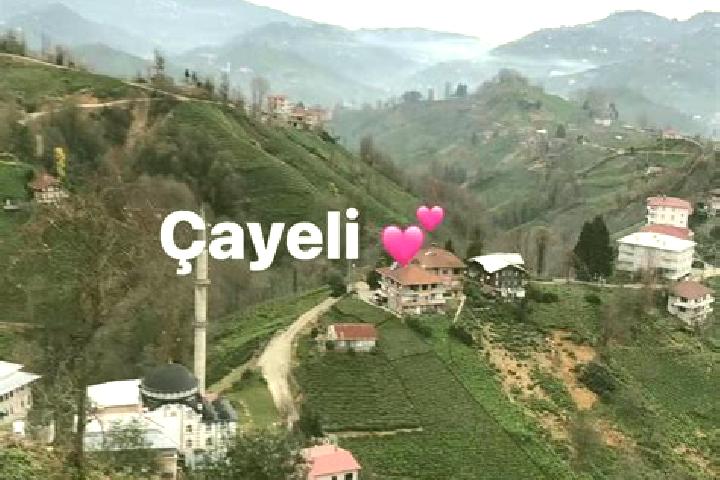 Mila, 33 — Escort in Cayeli, Turkey