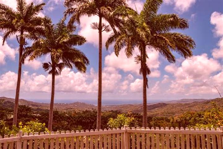 Mila, 33 — Escort in Welchman Hall, Barbados